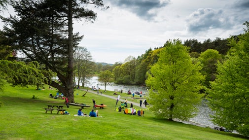 Green parkland next to a lake with trees and people sitting in groups on the grass.